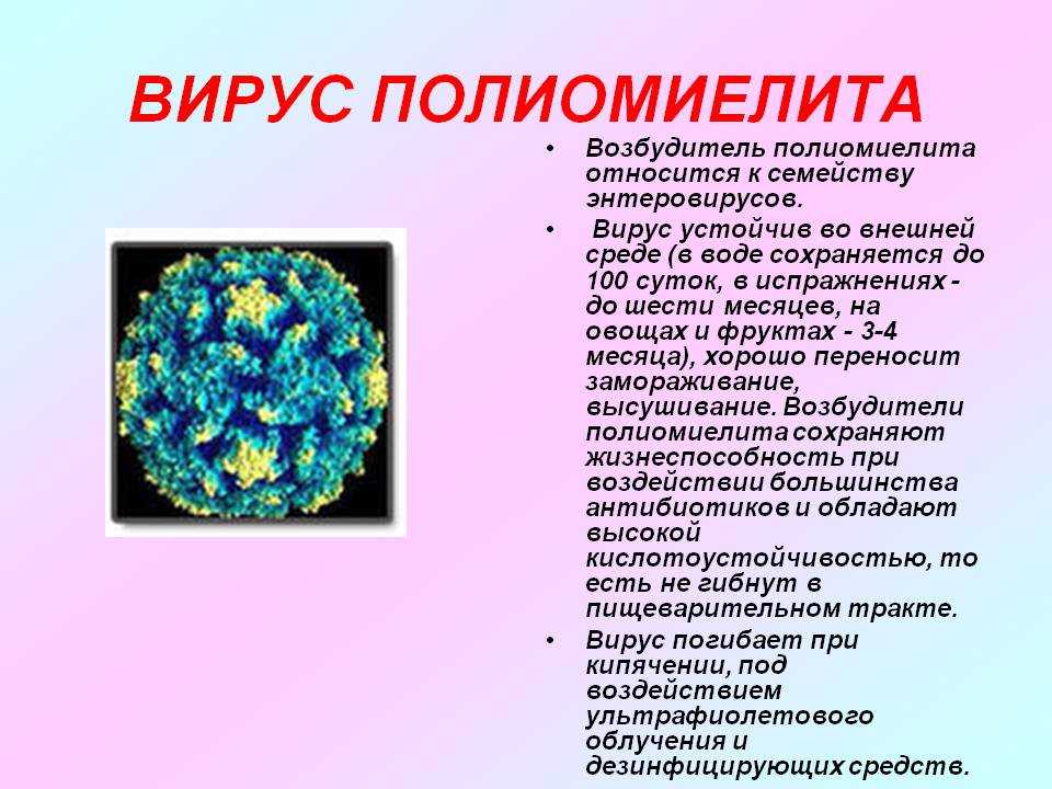 04662f5aadec91a7c60a2fa29198ca8c