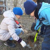 IMG-2262e4778f31cbee6cb6ca3dfdfd06d9-V