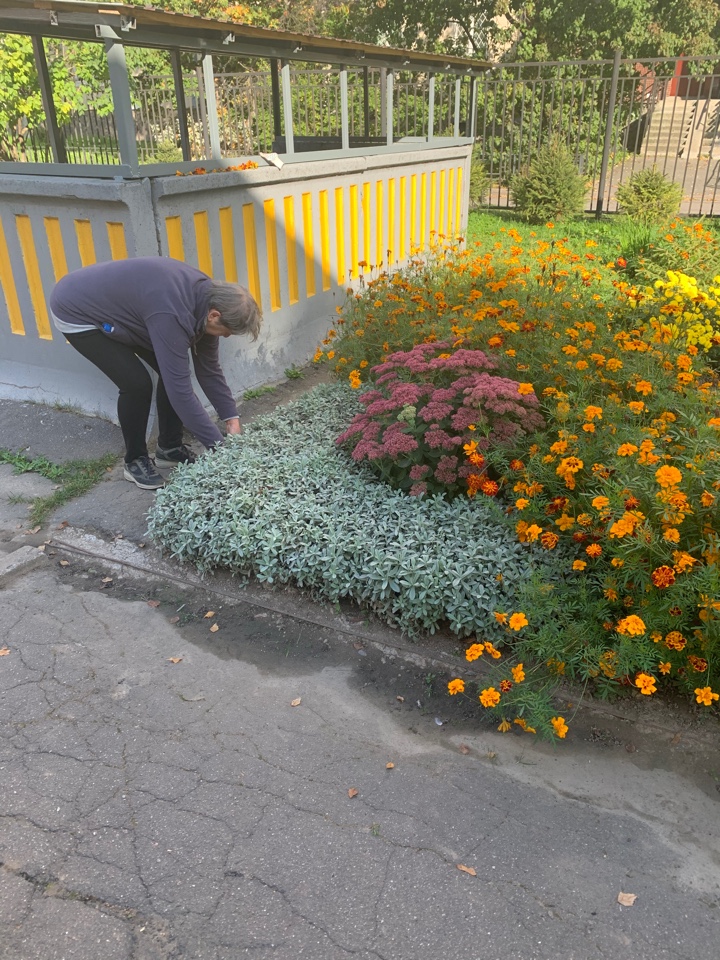 image 02 10 20 12 08 5
