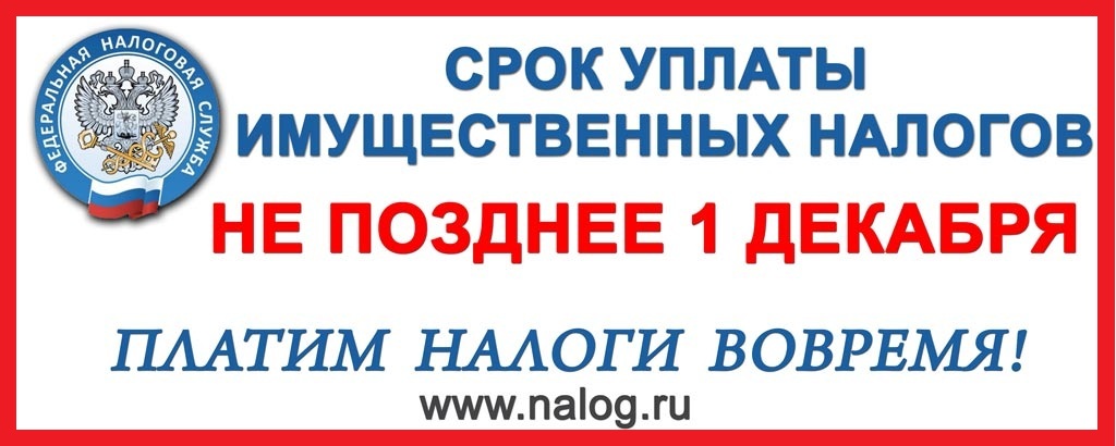 налог