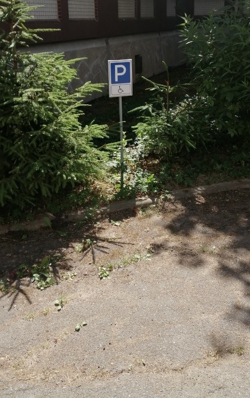 парковка 1